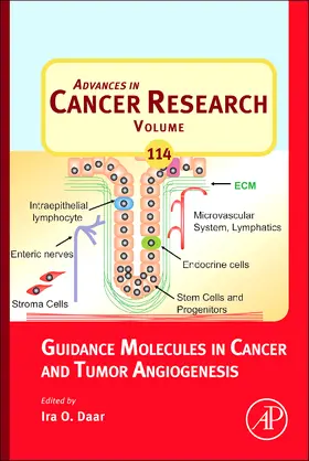 Guidance Molecules in Cancer and Tumor Angiogenesis | Buch | 978-0-12-386503-8 | sack.de