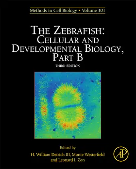 The Zebrafish: Cellular and Developmental Biology, Part B | Buch | 978-0-12-387036-0 | sack.de