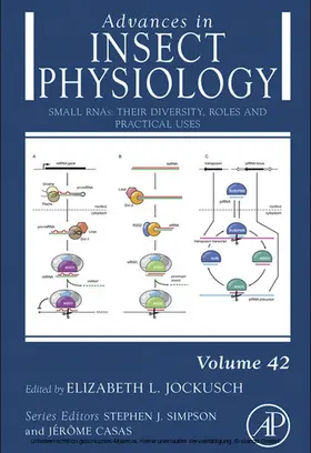 Jockusch | Small RNAs: Their Diversity, Roles and Practical Uses | E-Book | sack.de