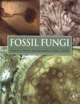 Taylor / Krings |  Fossil Fungi | Buch |  Sack Fachmedien