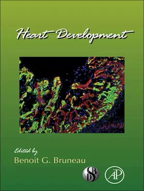  Heart Development | eBook | Sack Fachmedien