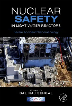 Sehgal / SARNET |  Nuclear Safety in Light Water Reactors | Buch |  Sack Fachmedien