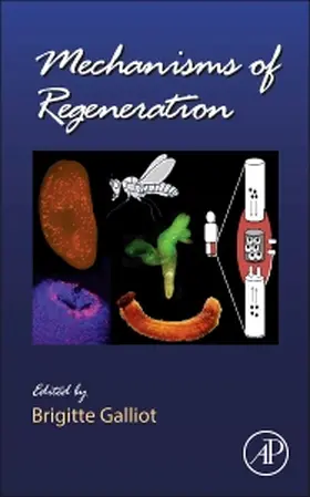 Mechanisms of Regeneration | Buch | 978-0-12-391498-9 | sack.de