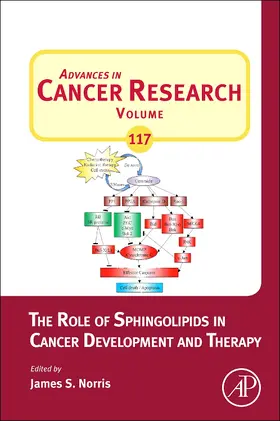 The Role of Sphingolipids in Cancer Development and Therapy | Buch | 978-0-12-394274-6 | www.sack.de