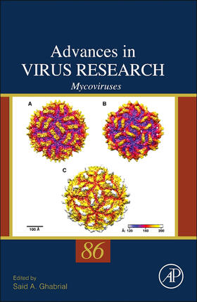  Mycoviruses | Buch |  Sack Fachmedien