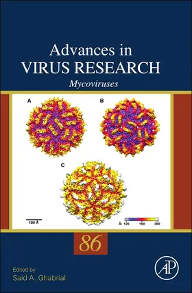  Mycoviruses | Buch |  Sack Fachmedien