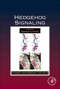 Litwack |  Hedgehog Signaling | Buch |  Sack Fachmedien