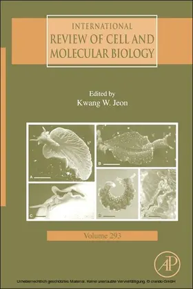 Jeon |  International Review of Cell and Molecular Biology | eBook | Sack Fachmedien