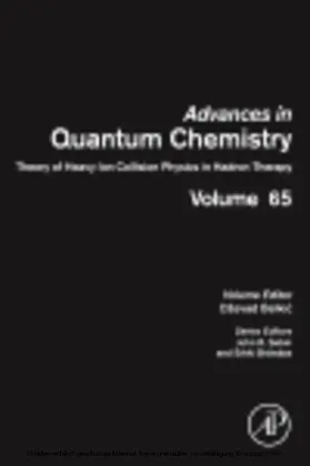 Belkic |  Theory of Heavy Ion Collision Physics in Hadron Therapy | eBook | Sack Fachmedien