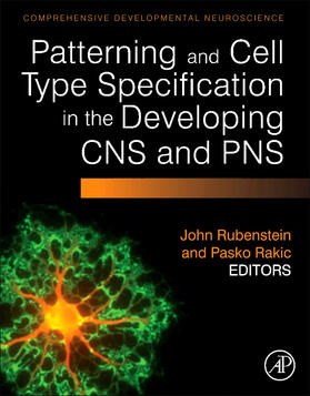 Patterning and Cell Type Specification in the Developing CNS and Pns | Buch | 978-0-12-397265-1 | sack.de