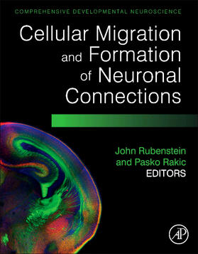 Rubenstein |  Cellular Migration and Formation of Neuronal Connections: Comprehensive Developmental Neuroscience | Buch |  Sack Fachmedien