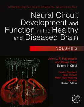 Rubenstein |  Neural Circuit Development and Function in the Healthy and D | Buch |  Sack Fachmedien