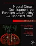 Rubenstein |  Neural Circuit Development and Function in the Healthy and D | Buch |  Sack Fachmedien