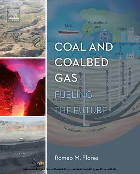 Flores | Coal and Coalbed Gas | E-Book | sack.de