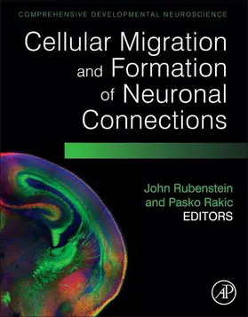 Rubenstein / Rakic |  Cellular Migration and Formation of Neuronal Connections | eBook | Sack Fachmedien