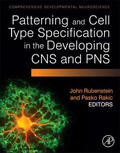 Rubenstein / Rakic |  Patterning and Cell Type Specification in the Developing CNS and PNS | eBook | Sack Fachmedien