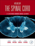 Sengul / Watson / Tanaka |  Atlas of the Spinal Cord | Buch |  Sack Fachmedien