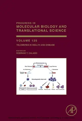 Calado |  Telomeres in Health and Disease | eBook | Sack Fachmedien