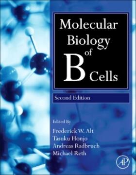 Honjo / Reth / Radbruch |  Molecular Biology of B Cells | Buch |  Sack Fachmedien