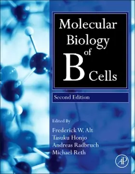 Honjo / Reth / Radbruch |  Molecular Biology of B Cells | Buch |  Sack Fachmedien