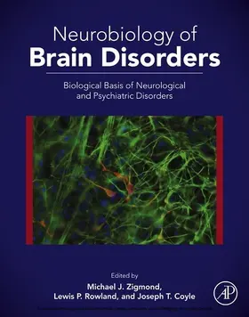 Zigmond / Coyle / Rowland | Neurobiology of Brain Disorders | E-Book | sack.de