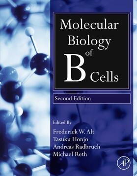 Honjo / Reth / Radbruch |  Molecular Biology of B Cells | eBook | Sack Fachmedien