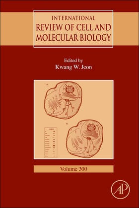 Jeon | International Review of Cell and Molecular Biology | Buch | 978-0-12-405210-9 | sack.de