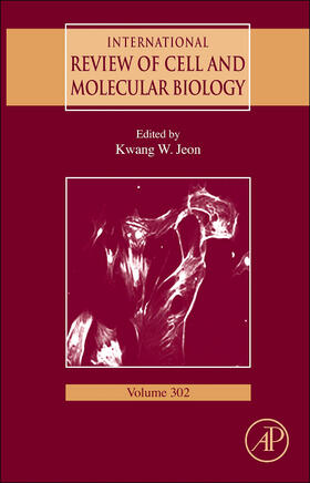 Jeon | International Review of Cell and Molecular Biology | Buch | 978-0-12-407699-0 | sack.de