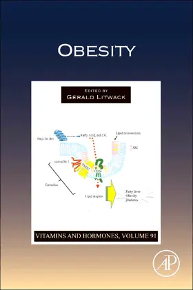Obesity | Buch | 978-0-12-407766-9 | sack.de