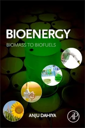 Bioenergy | Buch | 978-0-12-407909-0 | www.sack.de