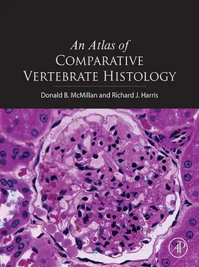 Mcmillan / Harris | An Atlas of Comparative Vertebrate Histology | E-Book | www.sack.de