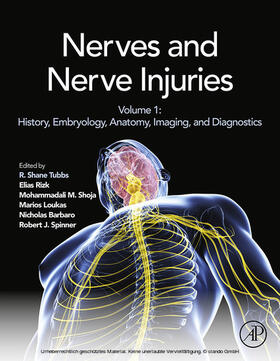 Rizk / Loukas / Barbaro | Nerves and Nerve Injuries | E-Book | sack.de