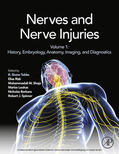 Rizk / Loukas / Barbaro |  Nerves and Nerve Injuries | eBook | Sack Fachmedien