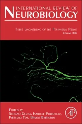 Tissue Engineering of the Peripheral Nerve | Buch | 978-0-12-410499-0 | www.sack.de
