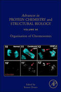 Donev |  Organisation of Chromosomes | Buch |  Sack Fachmedien