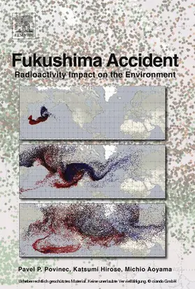 Povinec / Hirose / Aoyama | Fukushima Accident | E-Book | www.sack.de