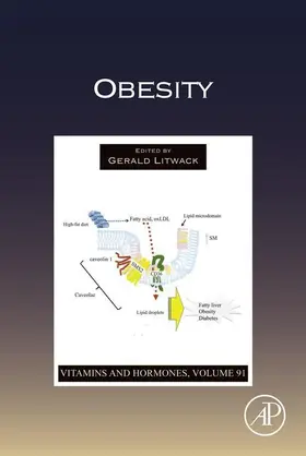Litwack | Obesity | E-Book | sack.de