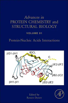  Protein-Nucleic Acids Interactions | Buch |  Sack Fachmedien