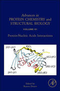 Donev |  Protein-Nucleic Acids Interactions | Buch |  Sack Fachmedien