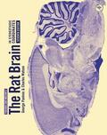Paxinos / Watson |  The Rat Brain in Stereotaxic Coordinates | eBook | Sack Fachmedien