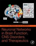 Faingold / Blumenfeld |  Neuronal Networks in Brain Function, CNS Disorders, and Therapeutics | Buch |  Sack Fachmedien