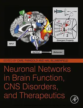 Faingold / Blumenfeld | Neuronal Networks in Brain Function, CNS Disorders, and Therapeutics | E-Book | www.sack.de