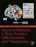 Faingold / Blumenfeld |  Neuronal Networks in Brain Function, CNS Disorders, and Therapeutics | eBook | Sack Fachmedien