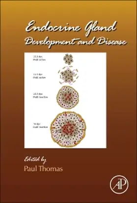 Endocrine Gland Development and Disease | Buch | 978-0-12-416021-7 | sack.de