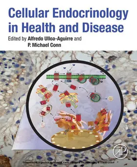 Ulloa-Aguirre / Conn |  Cellular Endocrinology in Health and Disease | eBook | Sack Fachmedien