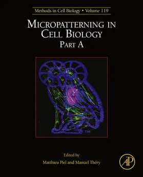 Piel / Th‚ry |  Micropatterning in Cell Biology, Part A | eBook | Sack Fachmedien