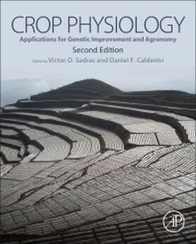 Sadras / Calderini | Crop Physiology | Buch | 978-0-12-417104-6 | www.sack.de