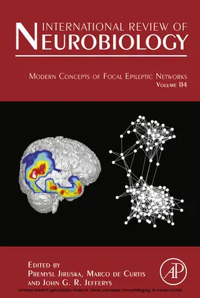 Jiruska | Modern Concepts of Focal Epileptic Networks | E-Book | www.sack.de