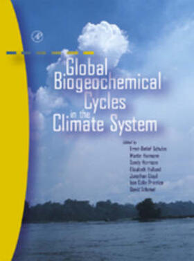 Schulze / Heimann / Harrison | Global Biogeochemical Cycles in the Climate System | Buch | 978-0-12-631260-7 | sack.de