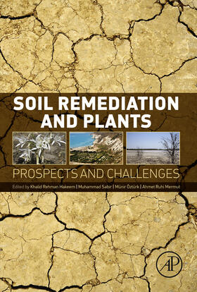 Hakeem / Sabir / Ozturk |  Soil Remediation and Plants | eBook | Sack Fachmedien
